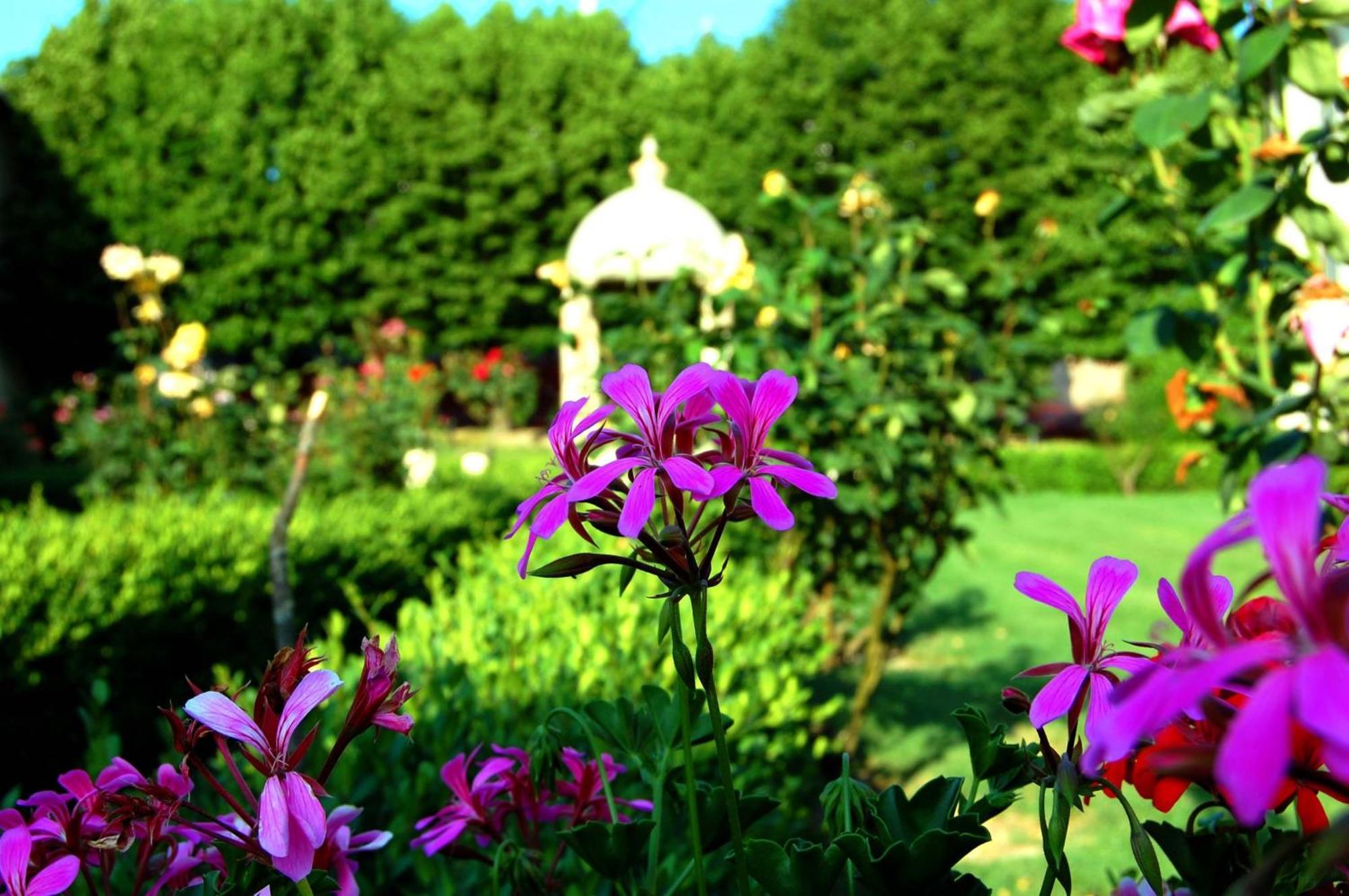 Hotel Villa San Donino Città di Castello Esterno foto