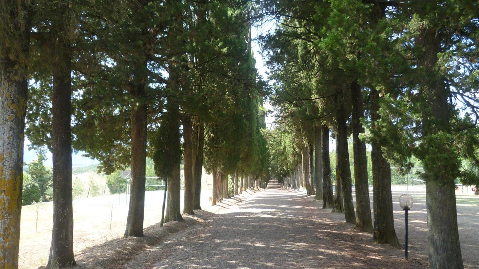 Hotel Villa San Donino Città di Castello Esterno foto